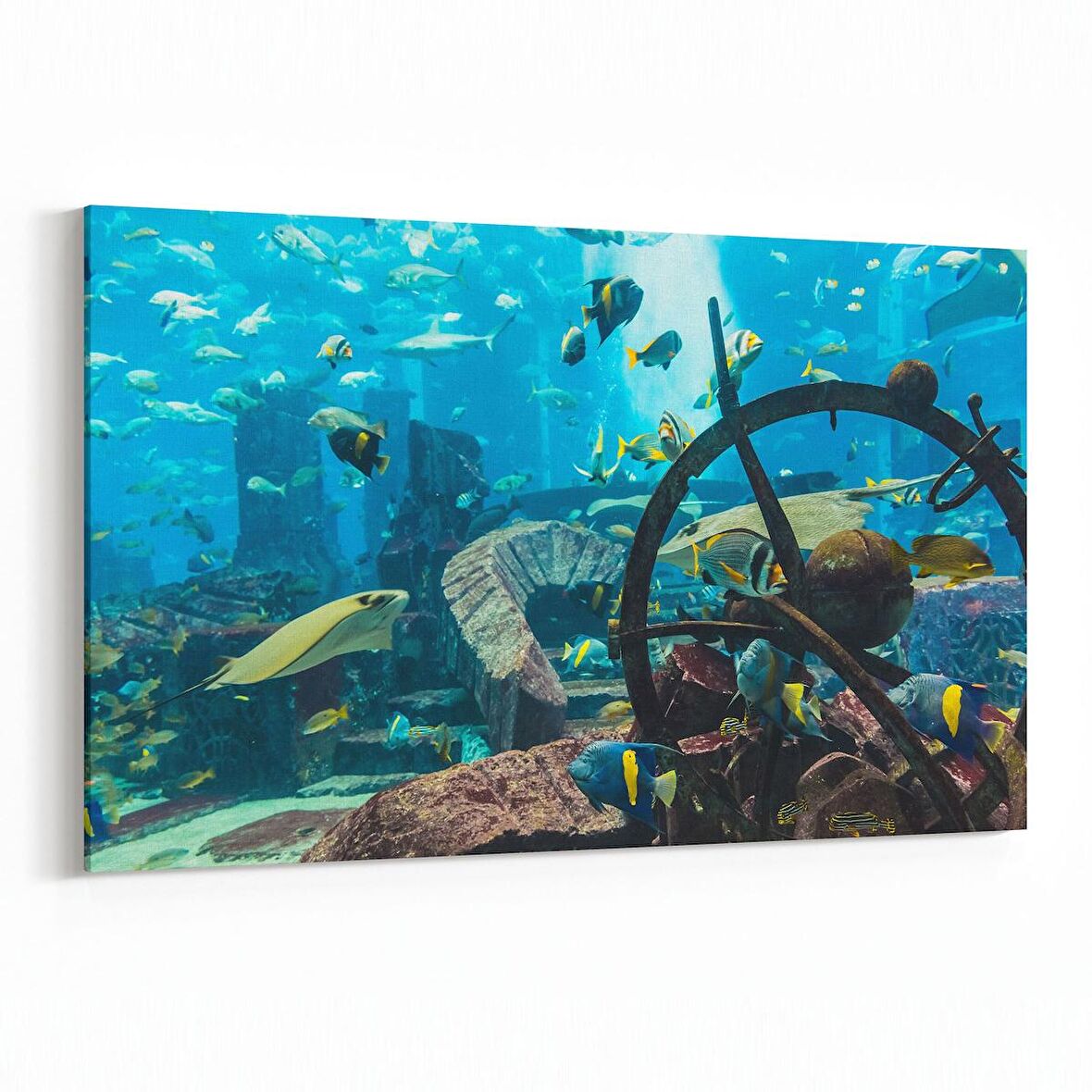 Olla 12107Y Akvaryum / Balık Görseli Yatay Kanvas Tablo (Ölçü: 45X30)