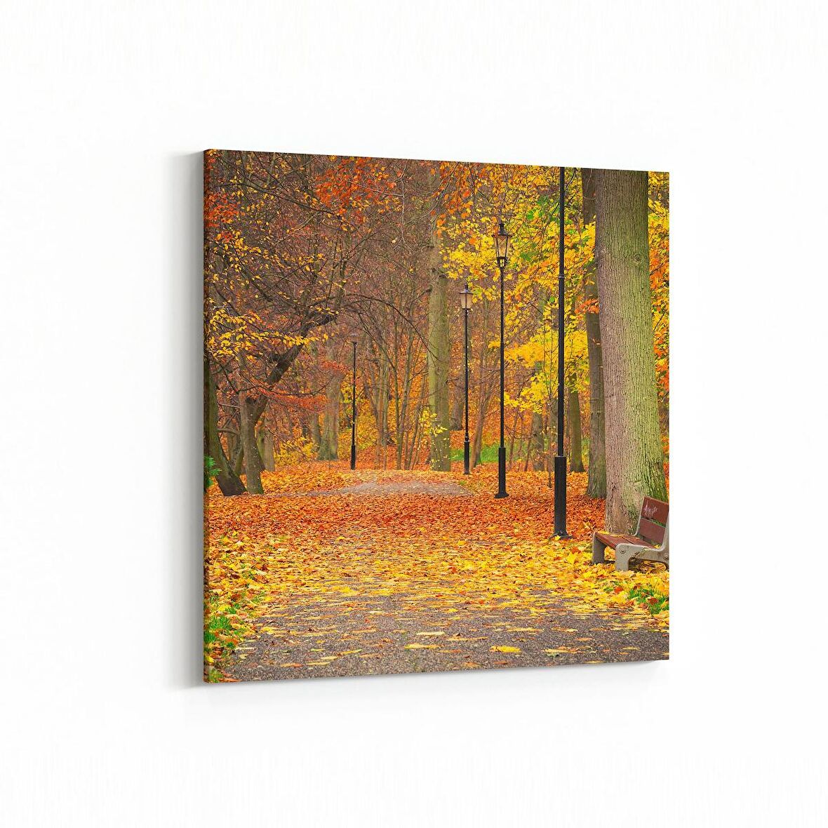 Olla 13598K Doğa / Manzara Görseli Kare Kanvas Tablo (Ölçü: 60X60)