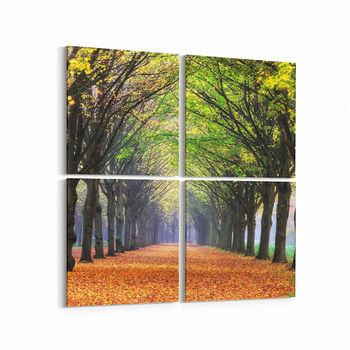 Olla 13411K4 Doğa / Manzara Görseli Kare 4'lü Kanvas Tablo (Ölçü: 125X125)