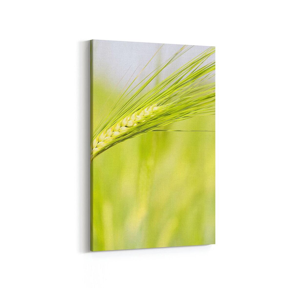 Olla 14327D Doğa / Manzara Görseli Dikey Kanvas Tablo (Ölçü: 100X150)