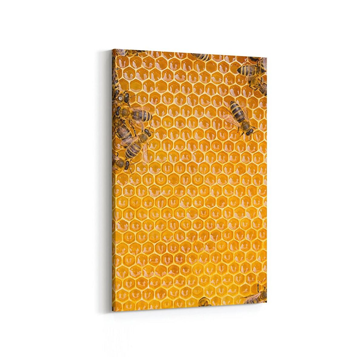 Olla 12613D Hayvanlar Alemi Görseli Dikey Kanvas Tablo (Ölçü: 20X30)