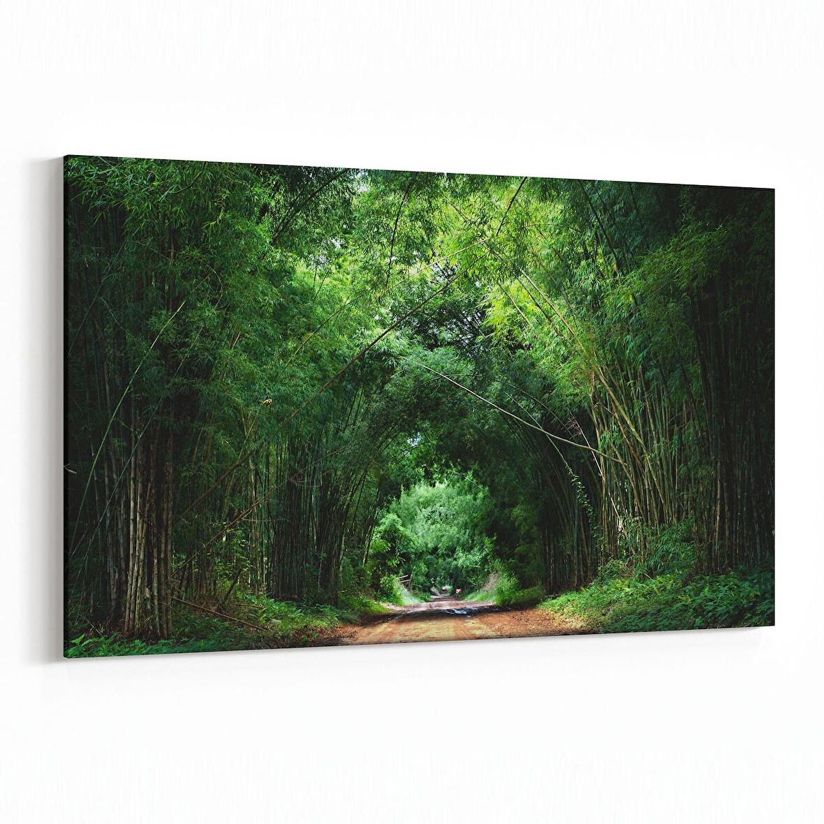 Olla 13254Y Doğa / Manzara Görseli Yatay Kanvas Tablo (Ölçü: 120X80)