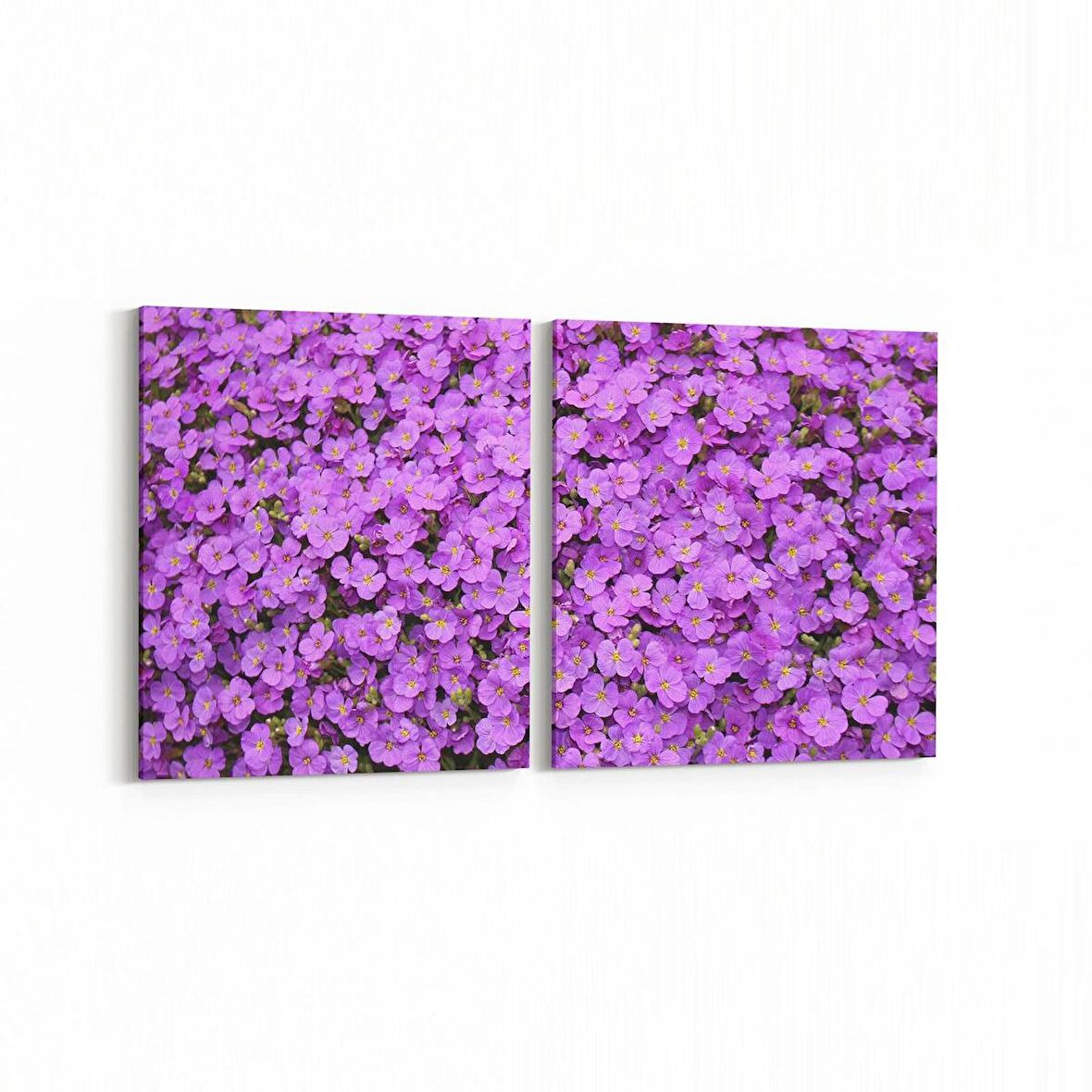 Olla 11587K2Y Çiçek Görseli Kare 2'li Yatay Kanvas Tablo (Ölçü: 65X30)