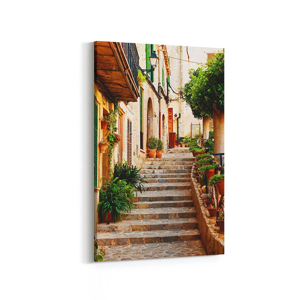 Olla 18256D Yapı Görseli Dikey Kanvas Tablo (Ölçü: 20X30)