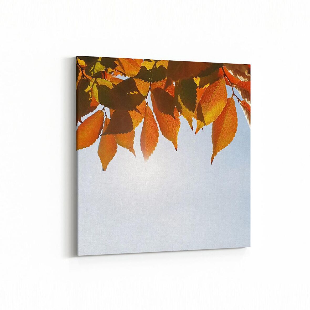 Olla 10523K Ağaç Görseli Kare Kanvas Tablo (Ölçü: 60X60)