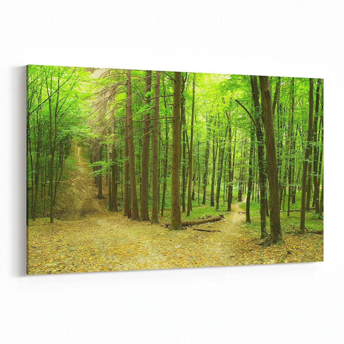 Olla 13946Y Doğa / Manzara Görseli Yatay Kanvas Tablo (Ölçü: 45X30)