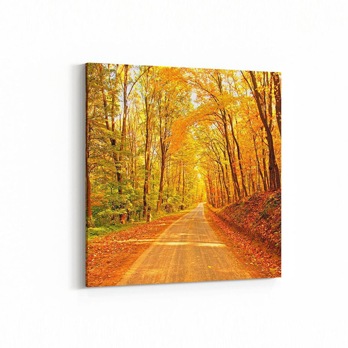 Olla 14553K Doğa / Manzara Görseli Kare Kanvas Tablo (Ölçü: 25X25)