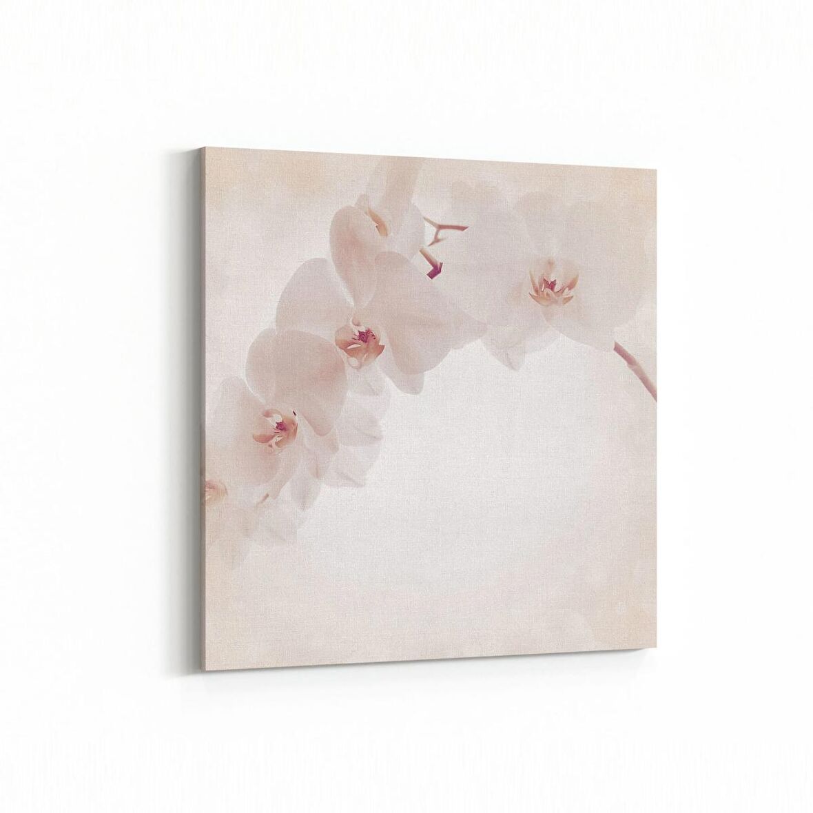 Olla 11722K Orkide Çiçek Görseli Kare Kanvas Tablo (Ölçü: 25X25)
