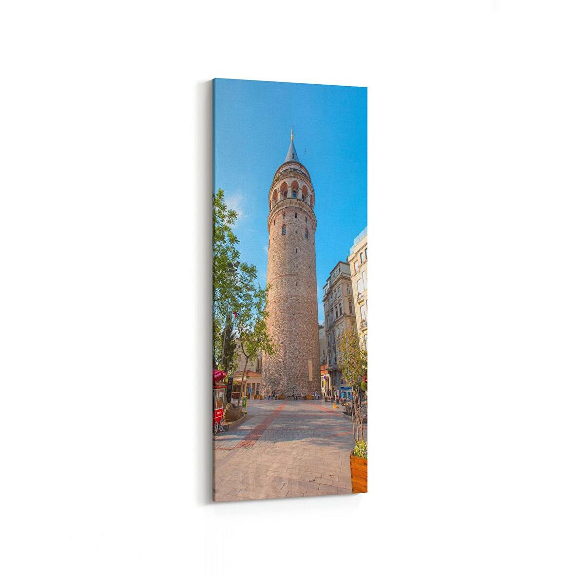 Olla 18691DI Yapı Görseli Dikey İnce Kanvas Tablo (Ölçü: 40X120)