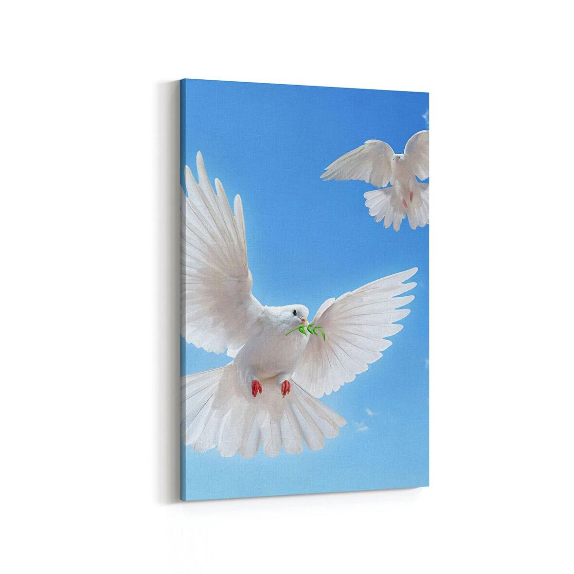 Olla 15872D Gökyüzü Kuşlar Görseli Dikey Kanvas Tablo (Ölçü: 60X90)