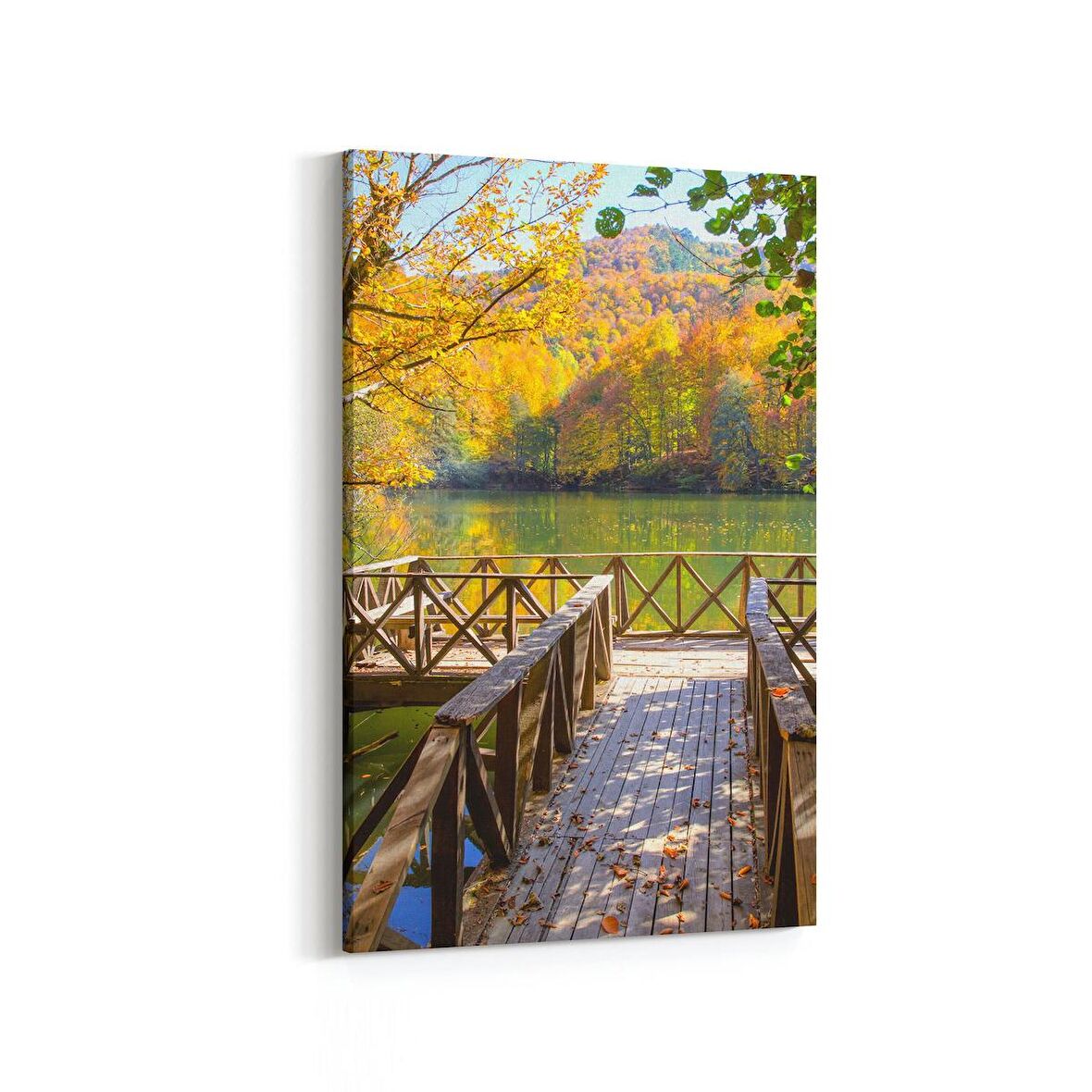 Olla 13907D Doğa / Manzara Görseli Dikey Kanvas Tablo (Ölçü: 100X150)