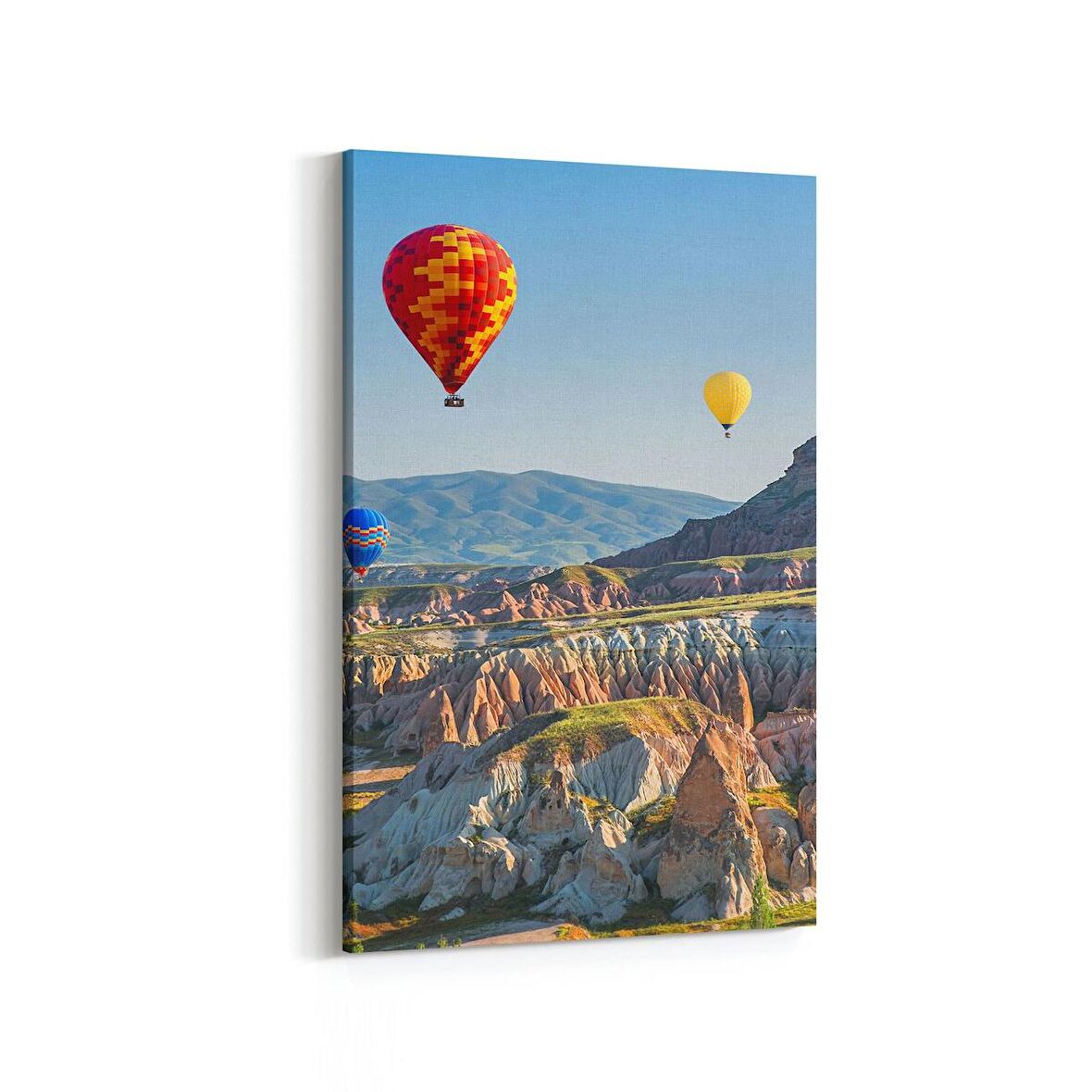 Olla 14152D Doğa / Manzara Görseli Dikey Kanvas Tablo (Ölçü: 70X105)