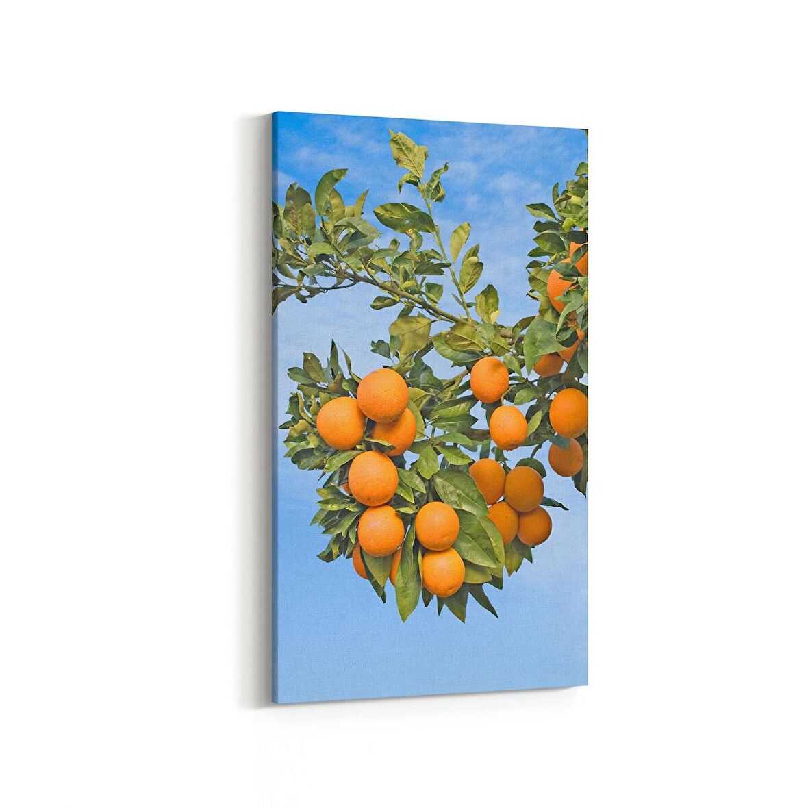 Olla 15207DD Gıda Görseli Dikey Dar Kanvas Tablo (Ölçü: 40X80)