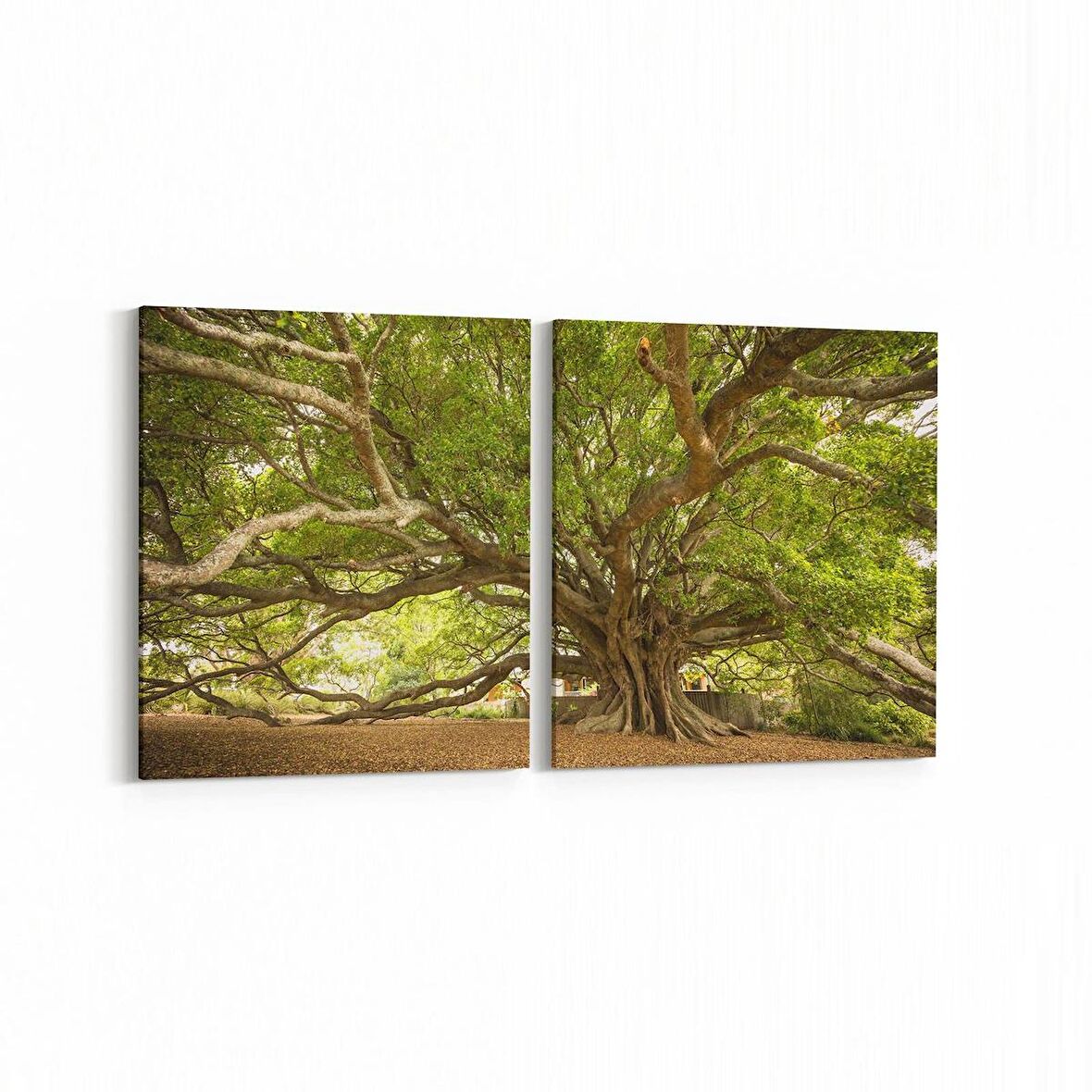 Olla 14268K2Y Doğa / Manzara Görseli Kare 2'li Yatay Kanvas Tablo (Ölçü: 105X50)