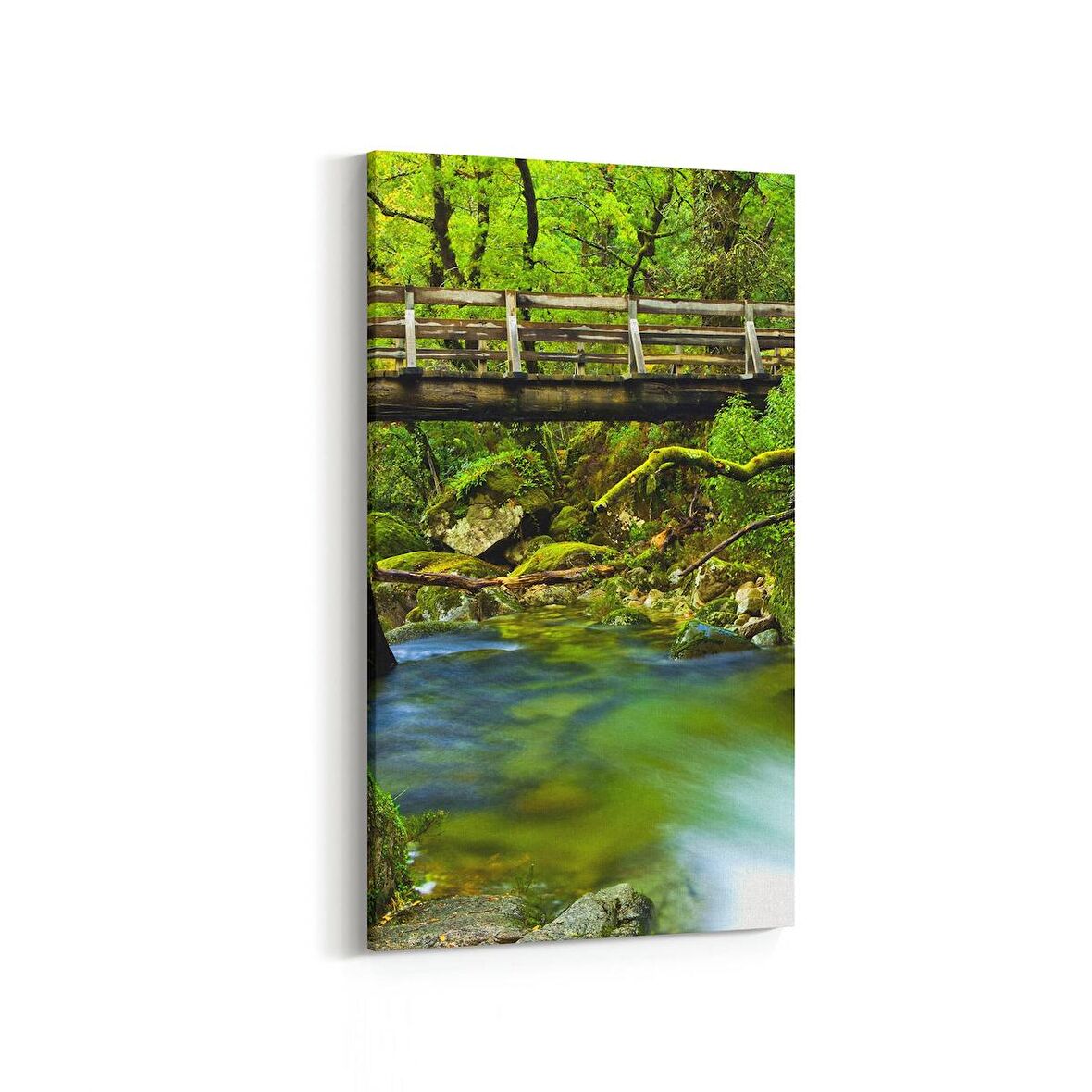 Olla 14285DD Doğa / Manzara Görseli Dikey Dar Kanvas Tablo (Ölçü: 40X80)