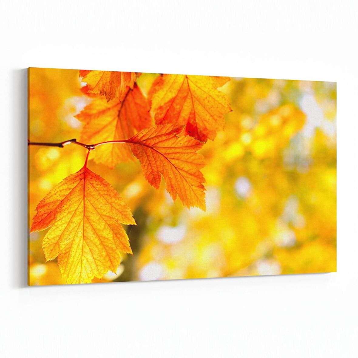 Olla 10956Y Ağaç Görseli Yatay Kanvas Tablo (Ölçü: 45X30)