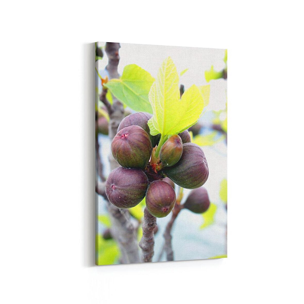 Olla 15265D Gıda Görseli Dikey Kanvas Tablo (Ölçü: 100X150)