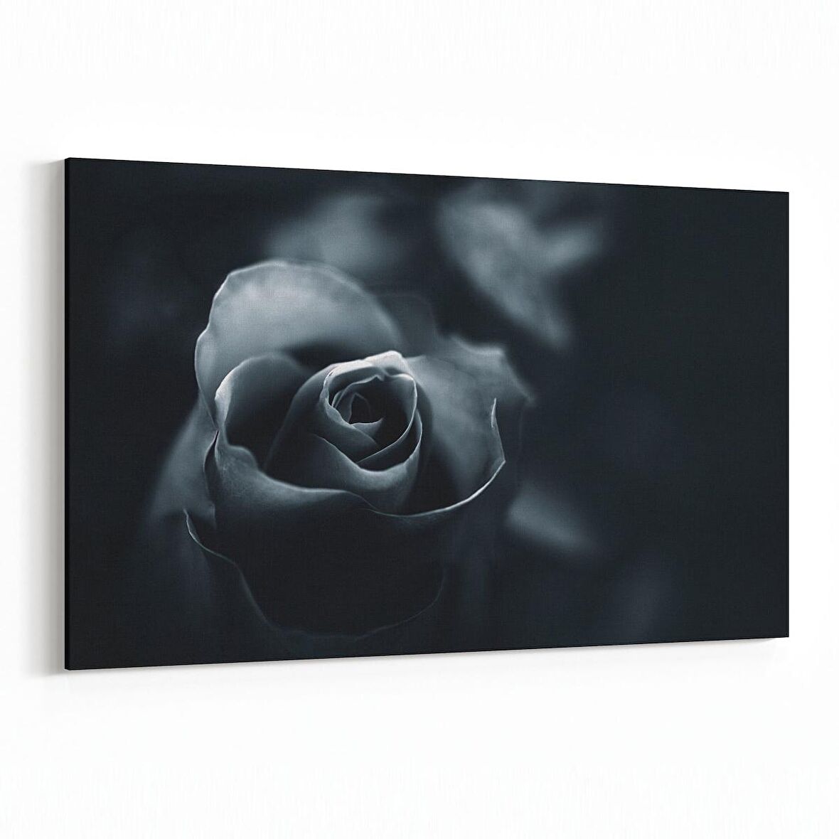 Olla 11577Y Çiçek Görseli Yatay Kanvas Tablo (Ölçü: 90X60)