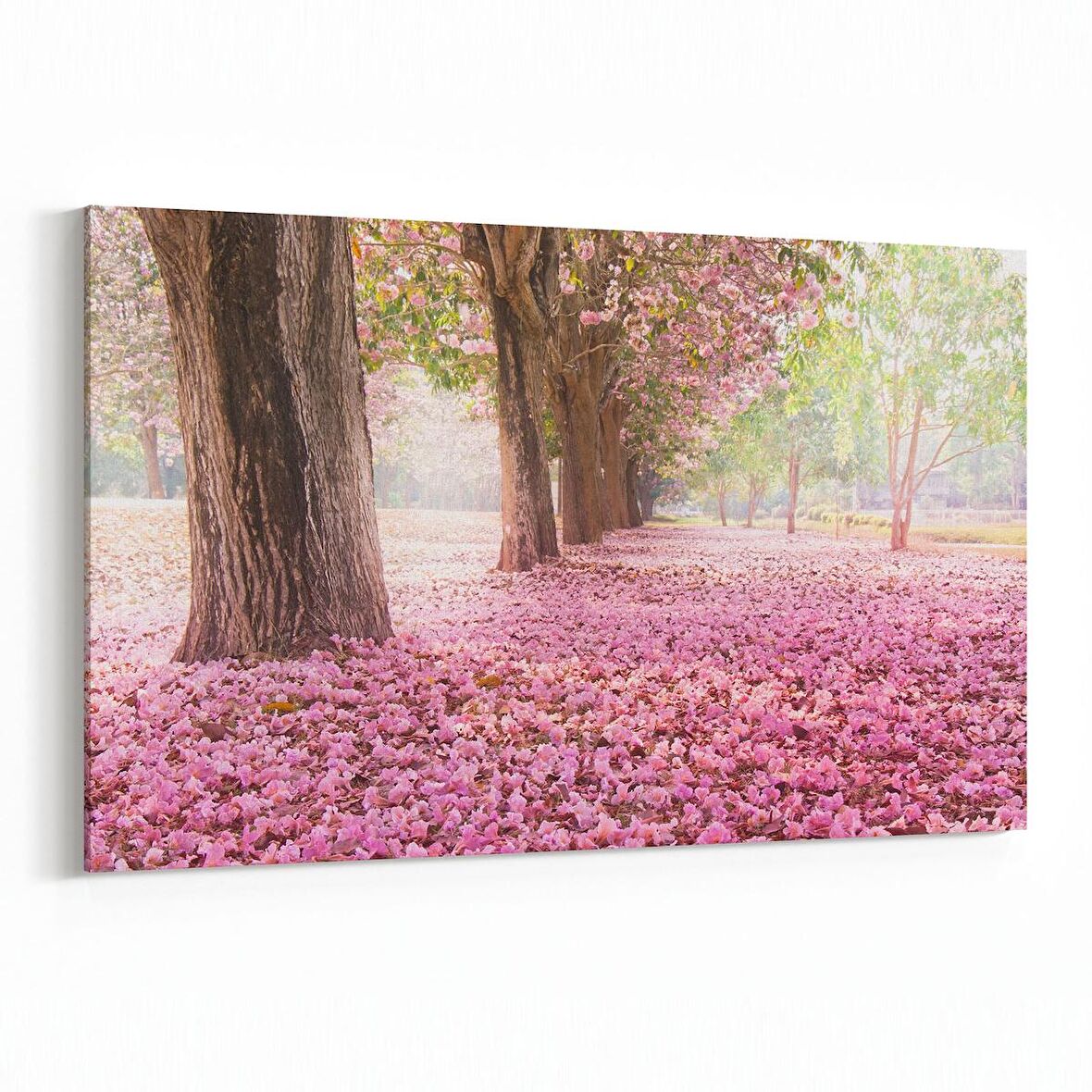 Olla 13471Y Doğa / Manzara Görseli Yatay Kanvas Tablo (Ölçü: 70X50)