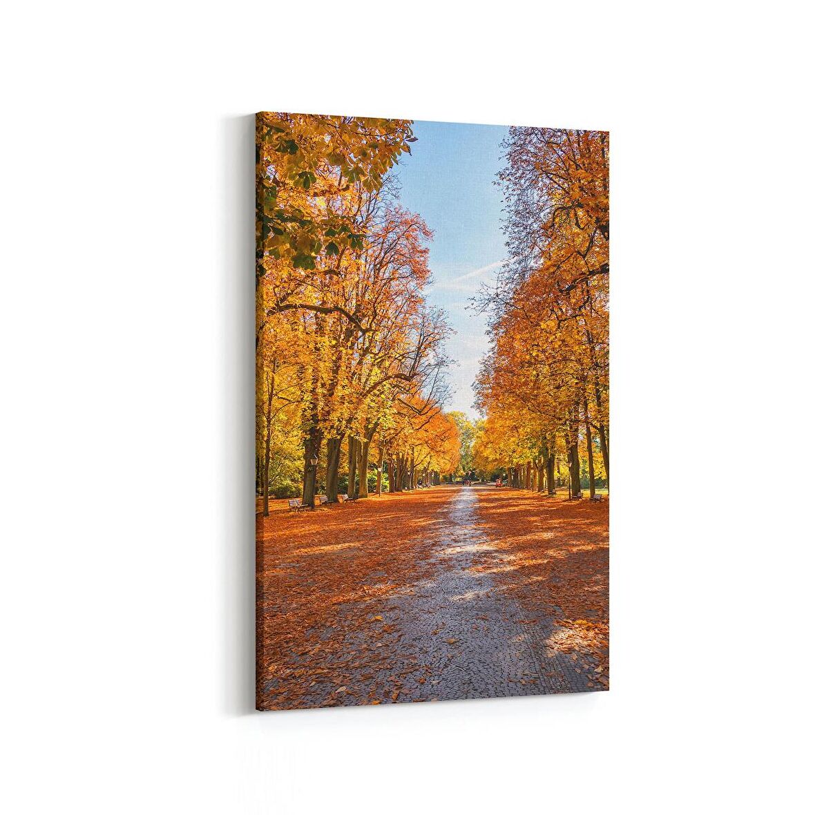 Olla 14162D Doğa / Manzara Görseli Dikey Kanvas Tablo (Ölçü: 20X30)