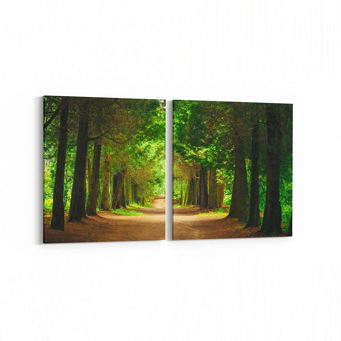 Olla 13793K2Y Doğa / Manzara Görseli Kare 2'li Yatay Kanvas Tablo (Ölçü: 85X40)