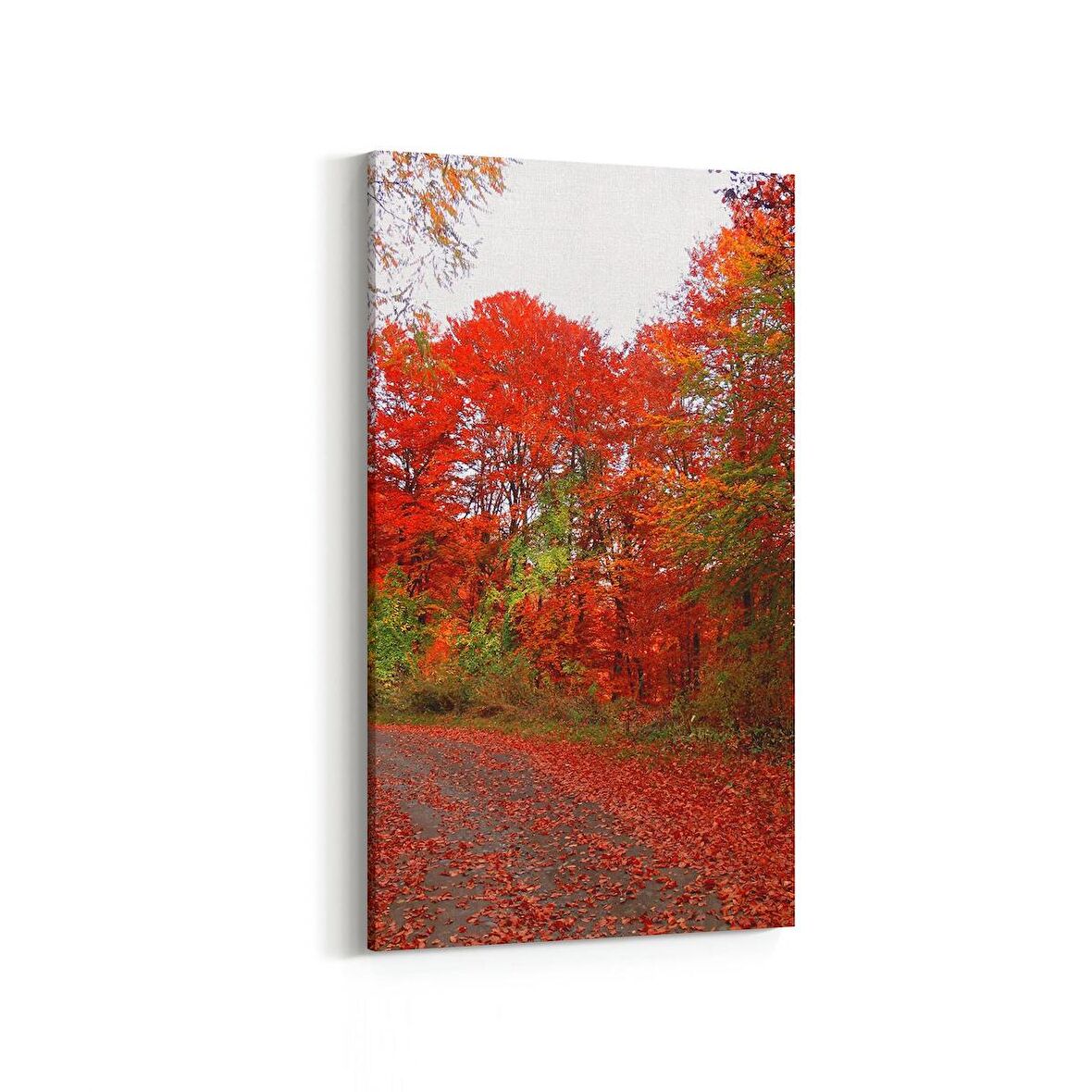 Olla 13211DD Doğa / Manzara Görseli Dikey Dar Kanvas Tablo (Ölçü: 40X80)