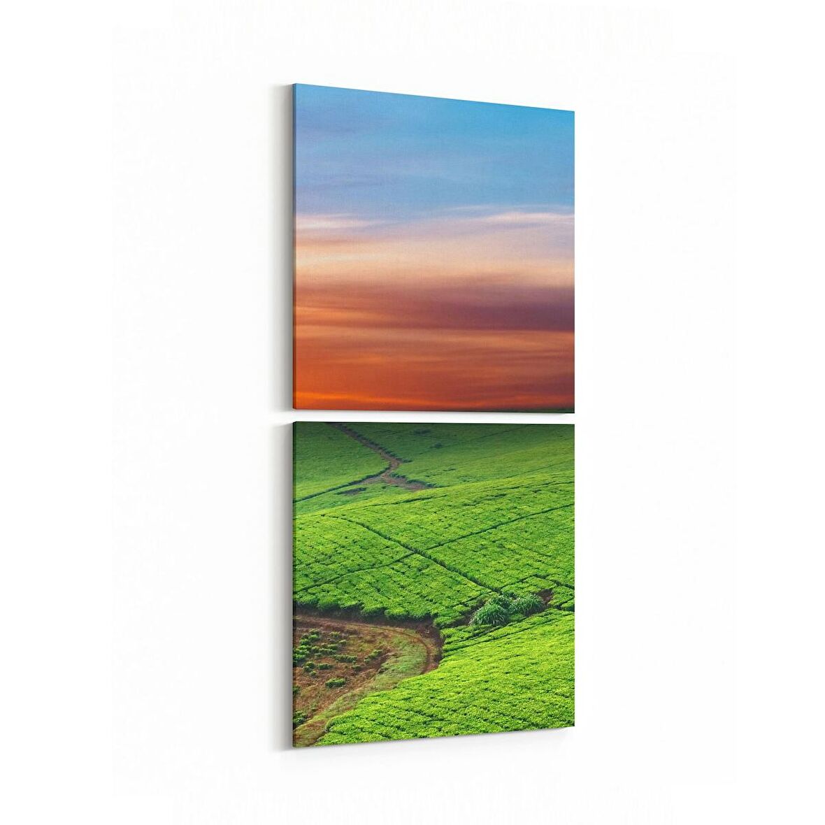 15905K2D-3065 Kanvas Tablo