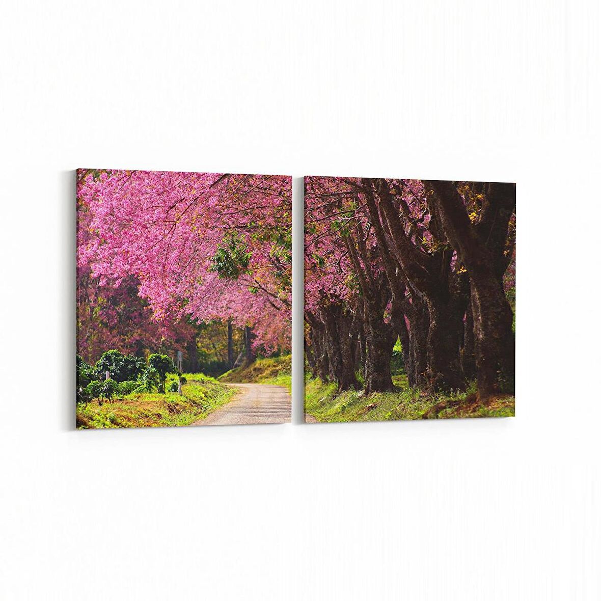 Olla 13347K2Y Doğa / Manzara Görseli Kare 2'li Yatay Kanvas Tablo (Ölçü: 65X30)