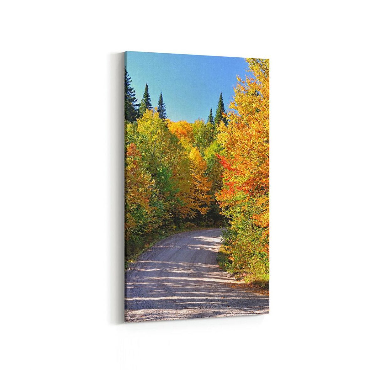 Olla 14015DD Doğa / Manzara Görseli Dikey Dar Kanvas Tablo (Ölçü: 60X120)