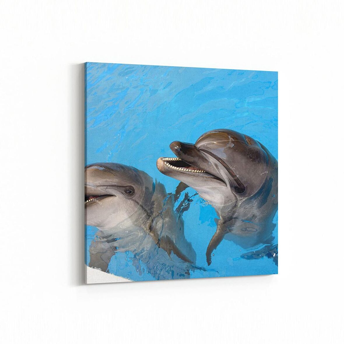 Olla 12999K Deniz / Okyanus Görseli Kare Kanvas Tablo (Ölçü: 25X25)