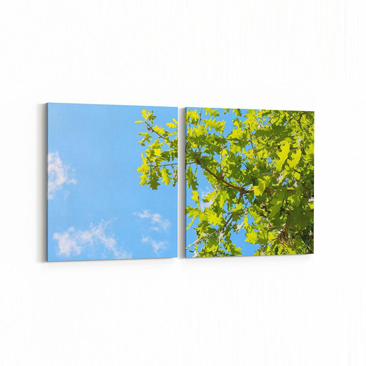 Olla 10832K2Y Ağaç Görseli Kare 2'li Yatay Kanvas Tablo (Ölçü: 145X70)