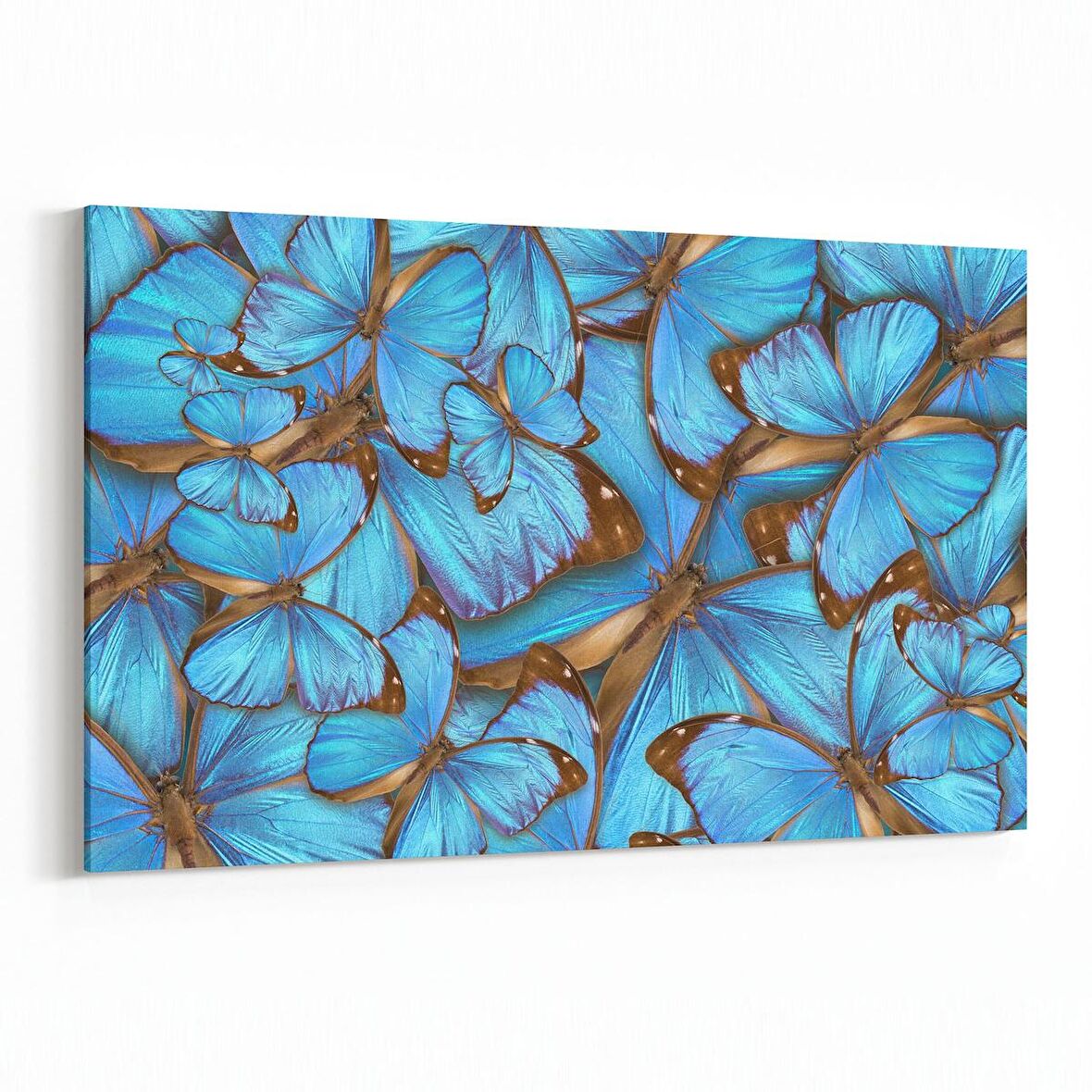 Olla 12569Y Hayvanlar Alemi Görseli Yatay Kanvas Tablo (Ölçü: 30X20)