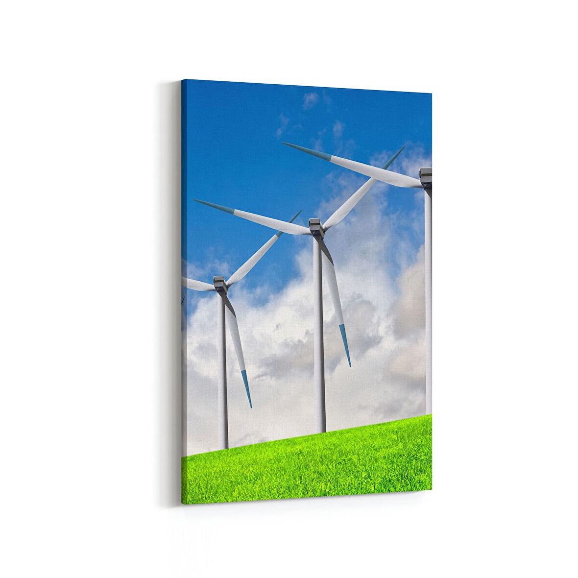 Olla 14219D Doğa / Manzara Görseli Dikey Kanvas Tablo (Ölçü: 60X90)