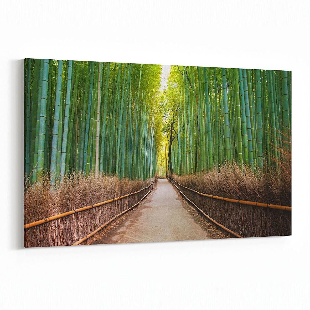 Olla 13646Y Doğa / Manzara Görseli Yatay Kanvas Tablo (Ölçü: 45X30)