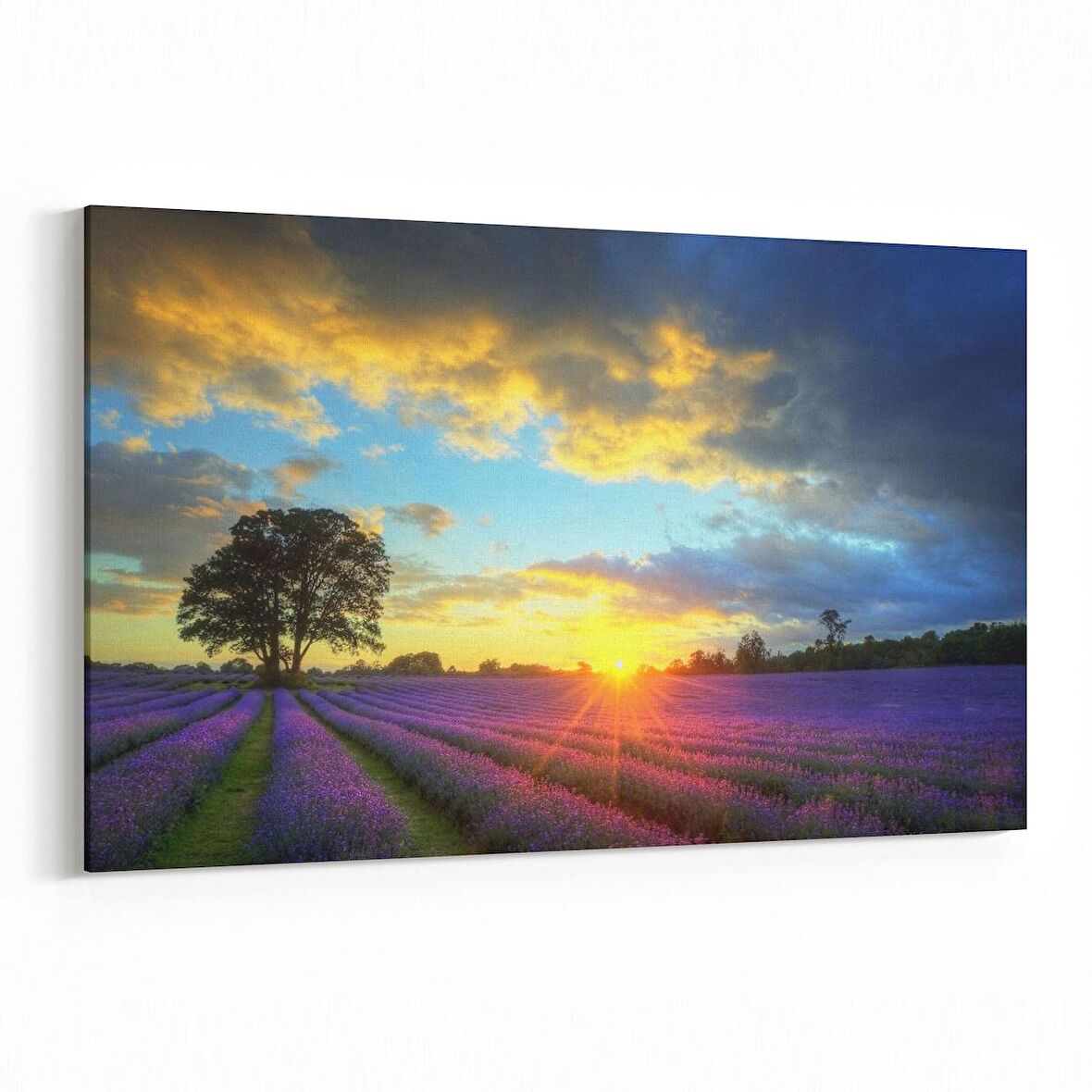 Olla 16112Y Günbatımı Görseli Yatay Kanvas Tablo (Ölçü: 90X60)