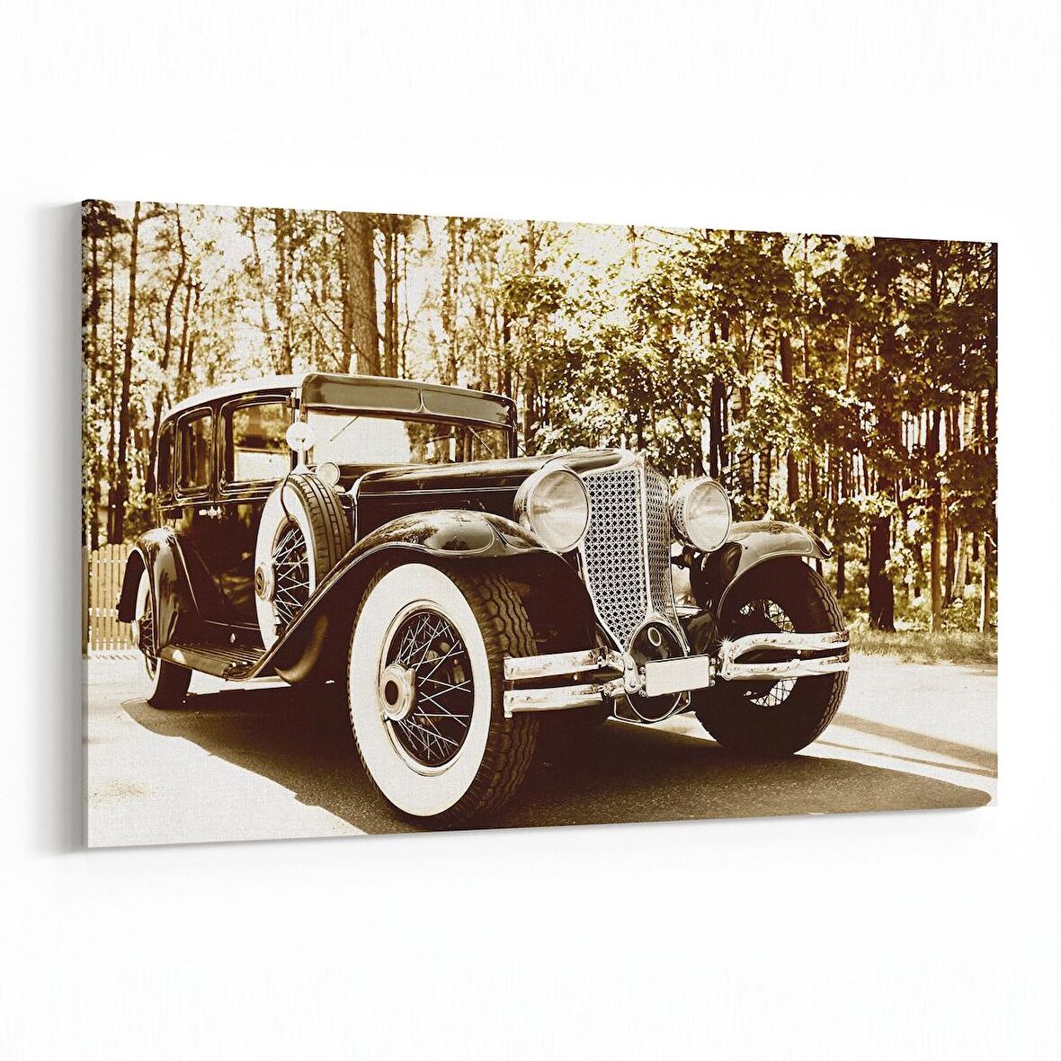 Olla 12341Y Araç Görseli Yatay Kanvas Tablo (Ölçü: 45X30)