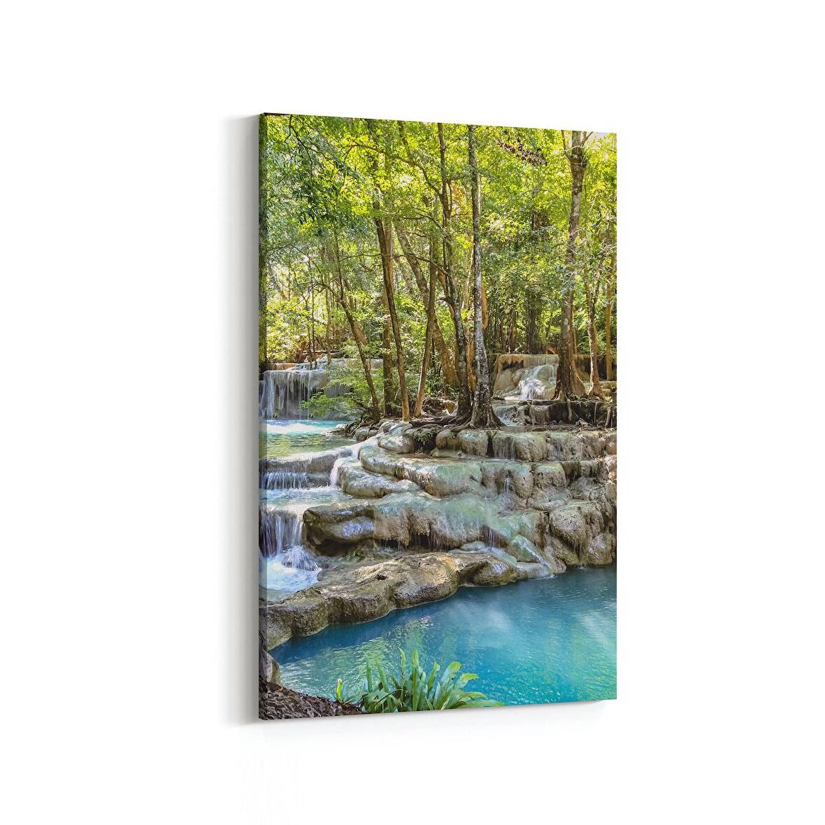 Olla 13165D Doğa / Manzara Görseli Dikey Kanvas Tablo (Ölçü: 20X30)