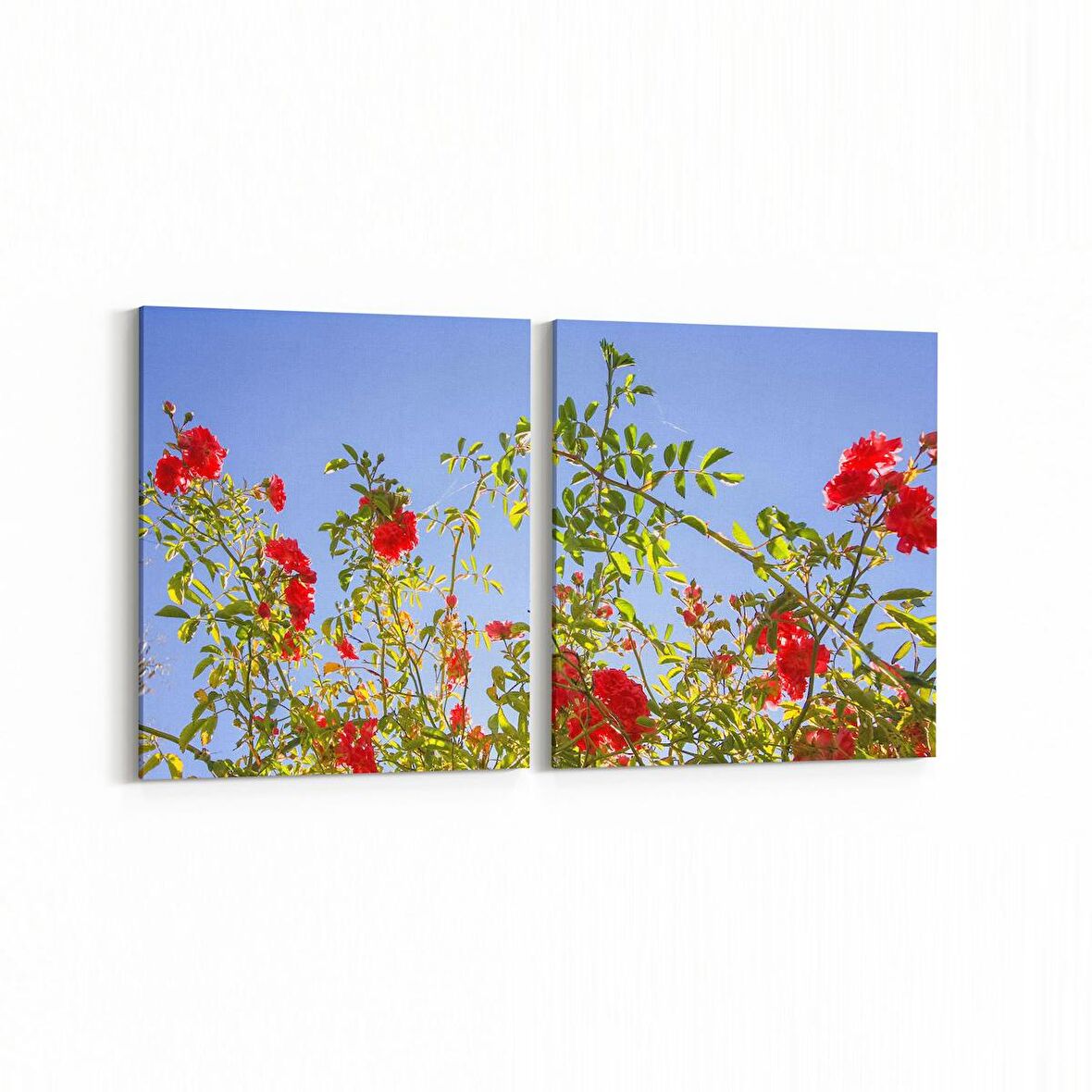 Olla 10707K2Y Ağaç Görseli Kare 2'li Yatay Kanvas Tablo (Ölçü: 145X70)