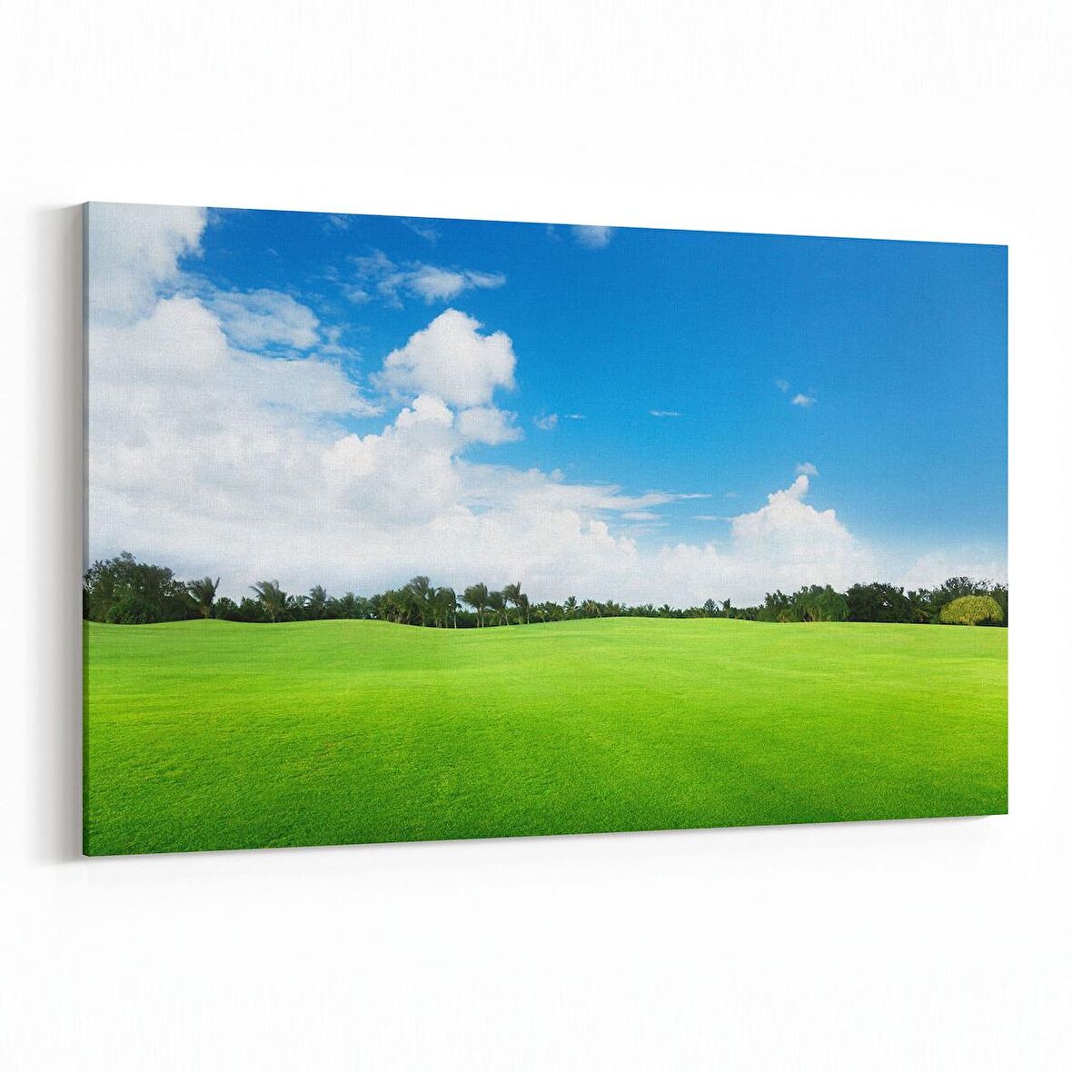 Olla 14143Y Doğa / Manzara Görseli Yatay Kanvas Tablo (Ölçü: 120X80)