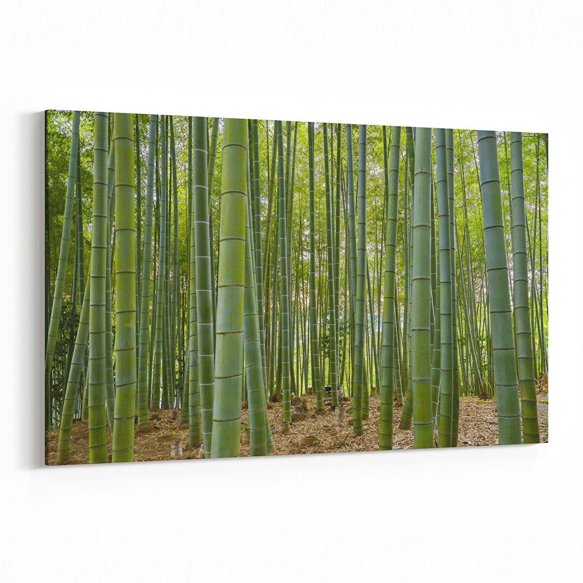 Olla 13866Y Doğa / Manzara Görseli Yatay Kanvas Tablo (Ölçü: 90X60)