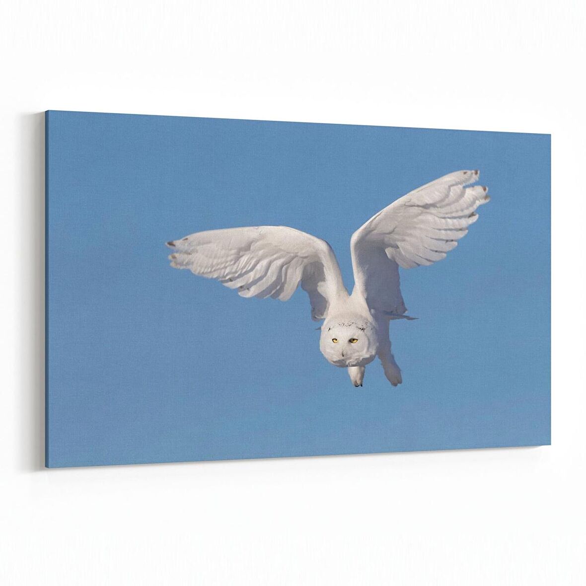 Olla 15826Y Gökyüzü Kuşlar Görseli Yatay Kanvas Tablo (Ölçü: 70X50)