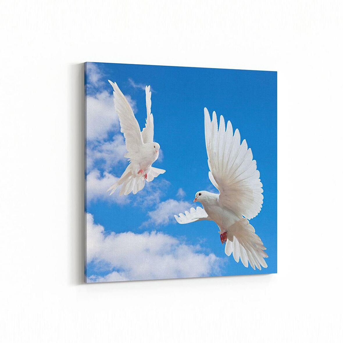 Olla 15893K Gökyüzü Kuşlar Görseli Kare Kanvas Tablo (Ölçü: 25X25)