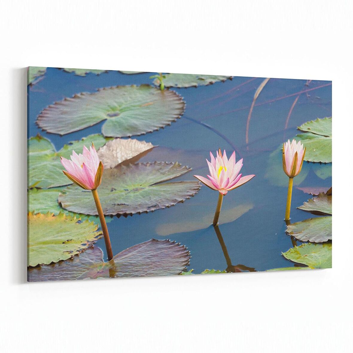 Olla 14457Y Doğa / Manzara Görseli Yatay Kanvas Tablo (Ölçü: 45X30)