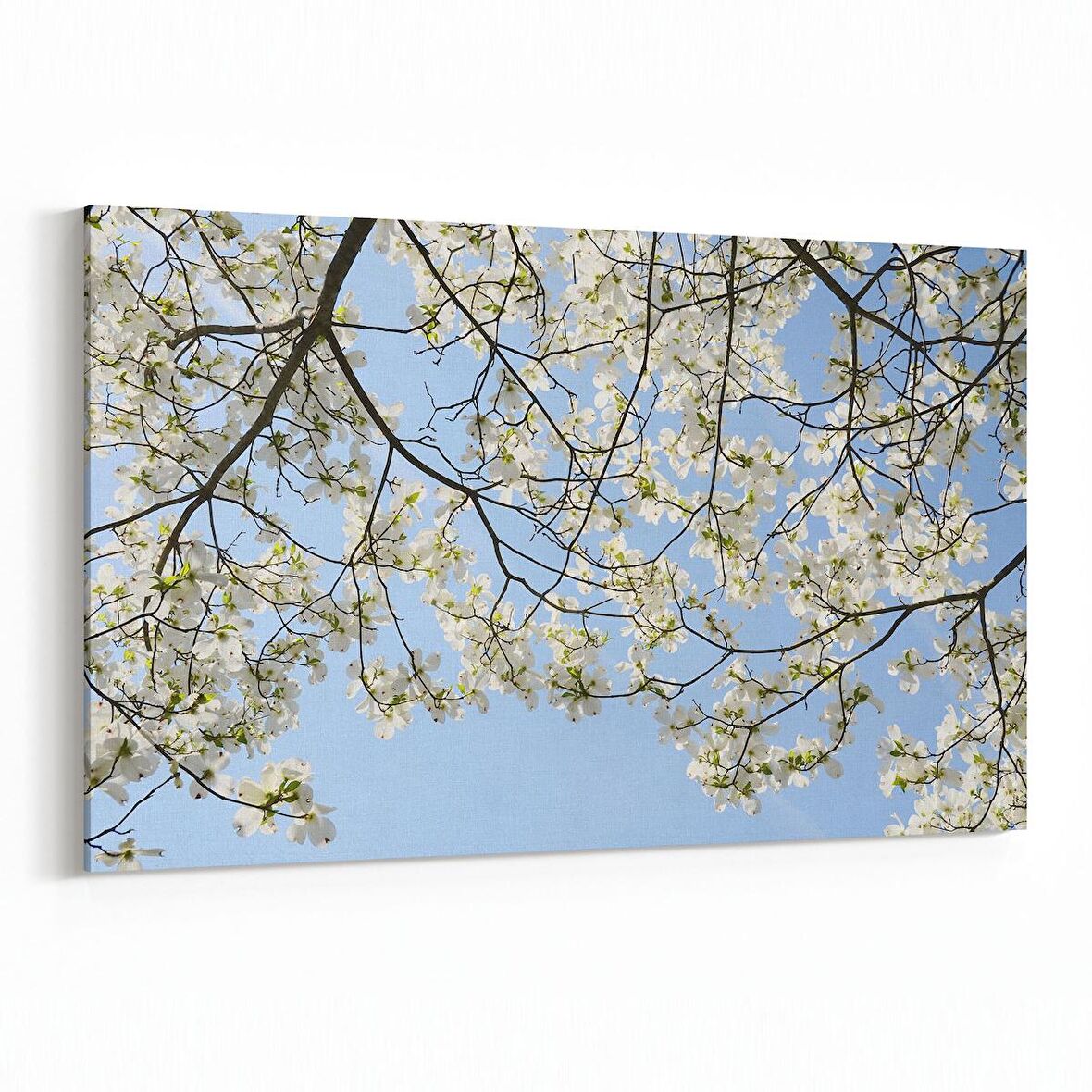 Olla 10865Y Ağaç Görseli Yatay Kanvas Tablo (Ölçü: 90X60)