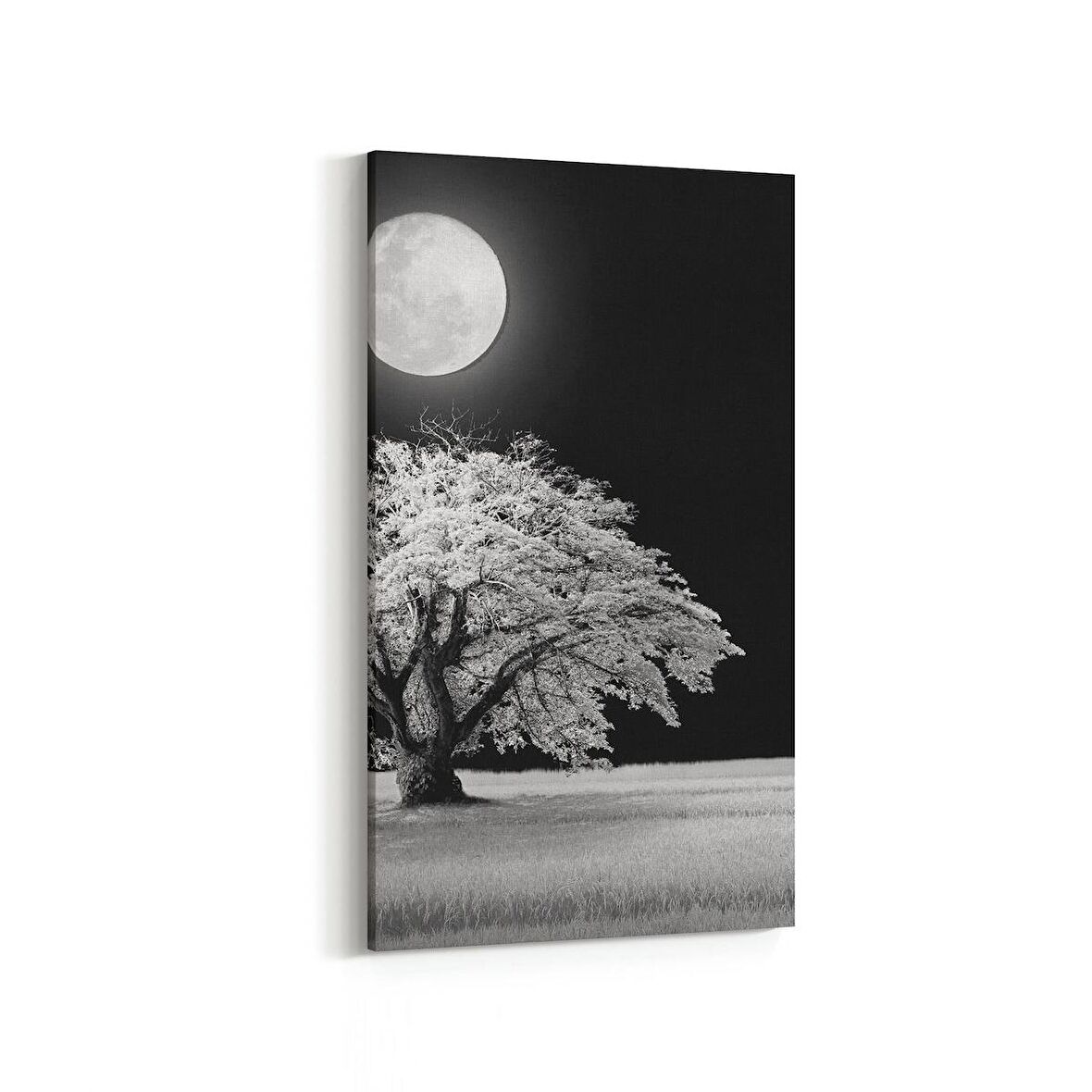 Olla 14475DD Doğa / Manzara Görseli Dikey Dar Kanvas Tablo (Ölçü: 30X60)