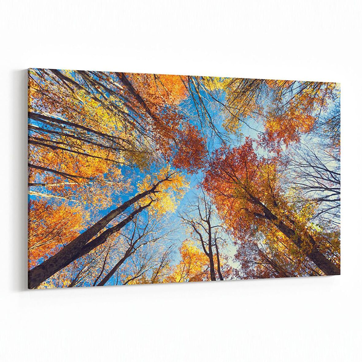 Olla 10750Y Ağaç Görseli Yatay Kanvas Tablo (Ölçü: 90X60)