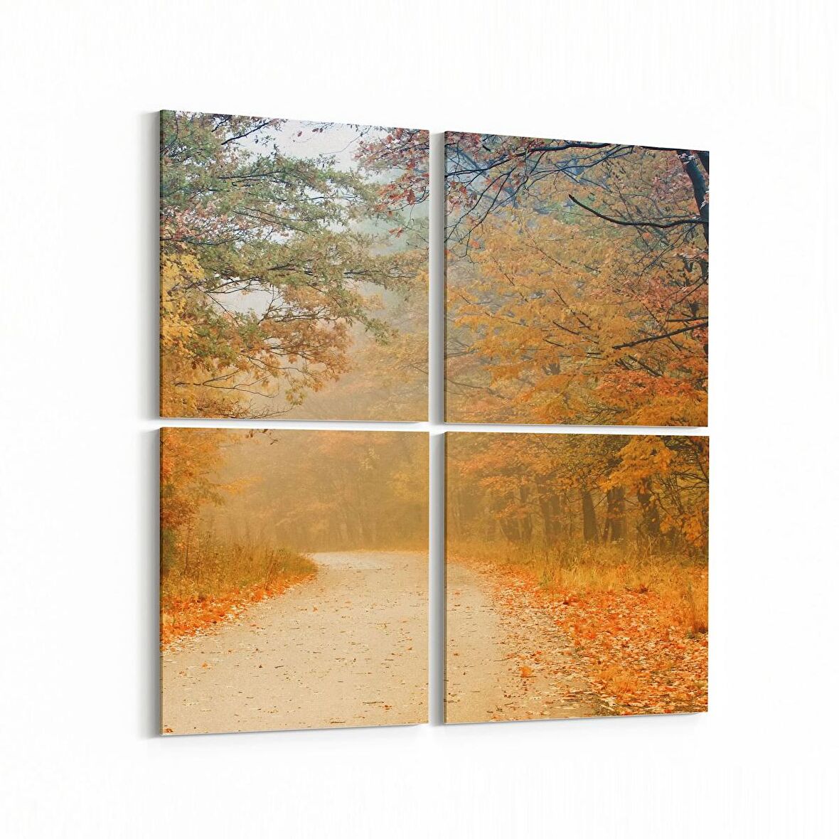 Olla 14094K4 Doğa / Manzara Görseli Kare 4'lü Kanvas Tablo (Ölçü: 125X125)