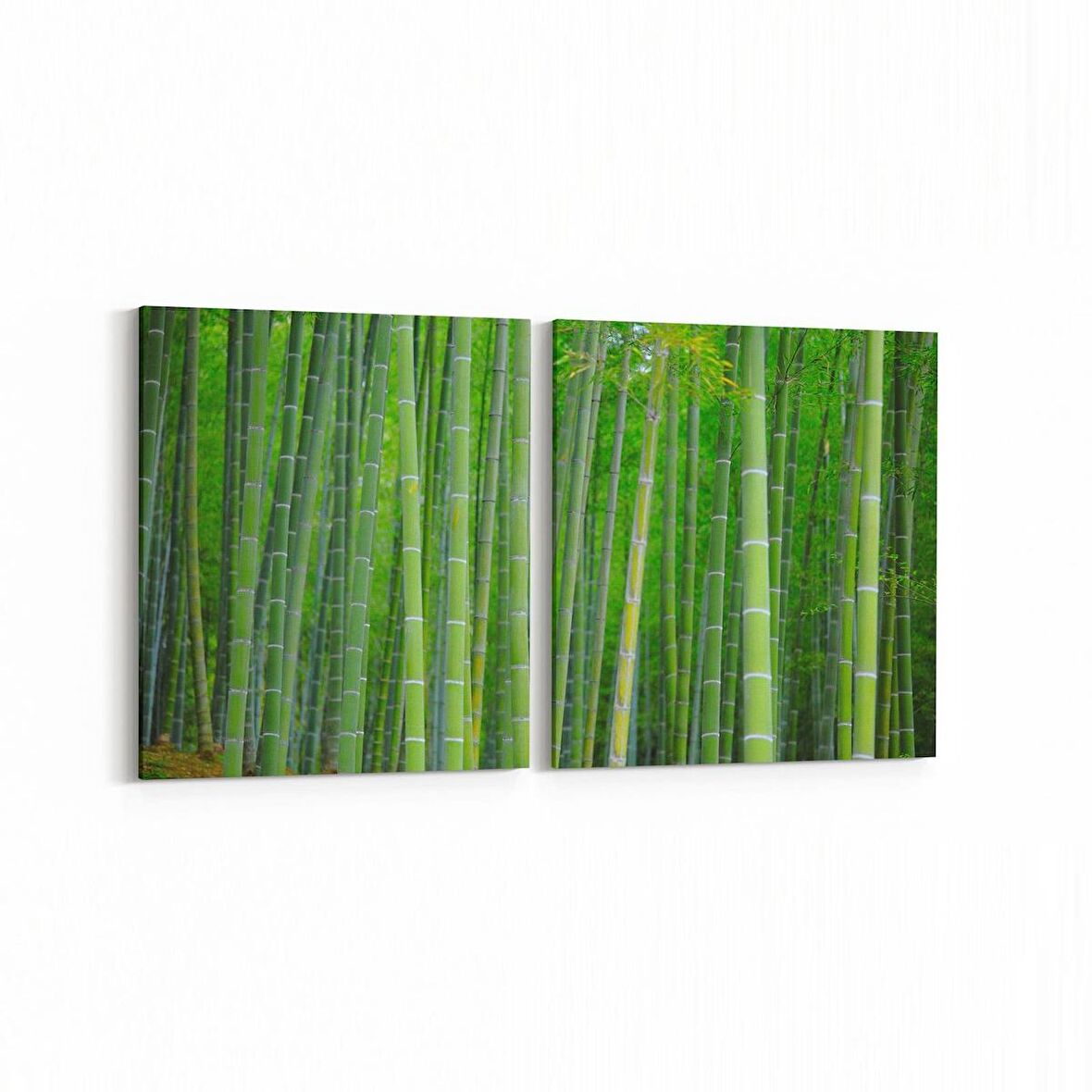 Olla 13658K2Y Doğa / Manzara Görseli Kare 2'li Yatay Kanvas Tablo (Ölçü: 65X30)