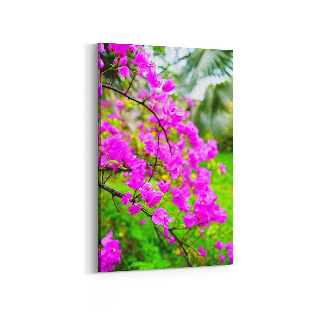 Olla 13558D Doğa / Manzara Görseli Dikey Kanvas Tablo (Ölçü: 80X120)