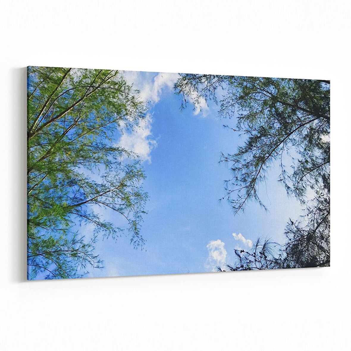 Olla 10982Y Ağaç Görseli Yatay Kanvas Tablo (Ölçü: 120X80)